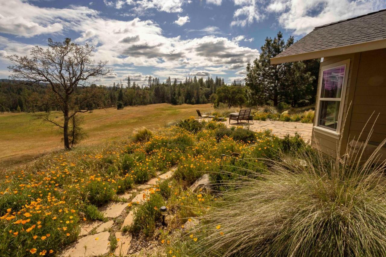 Red Tail Ranch Bed & Breakfast Гроувланд Екстериор снимка