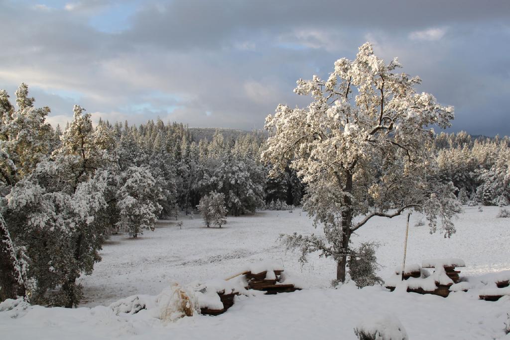 Red Tail Ranch Bed & Breakfast Гроувланд Екстериор снимка